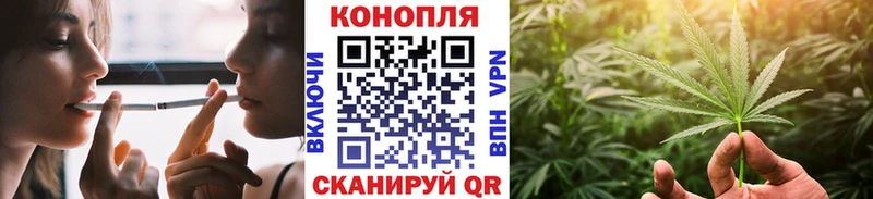 Купить где  Балаково  Конопля семена 